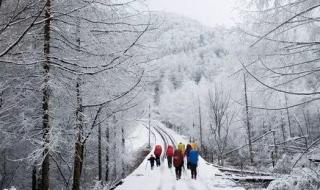 西山滑雪场缆车开了吗 滑雪场8岁学员从缆车上坠落