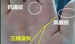 食指比无名指长为什么女性 无名指比食指长代表什么