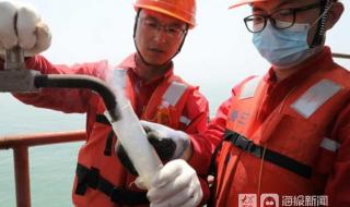 中海油和渤海石油是一个单位吗 渤海石油职业技术学院